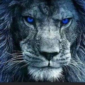 Meet your Posher, Marcus